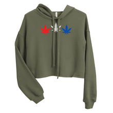 Load image into Gallery viewer, Patriotic Crop Hoodie