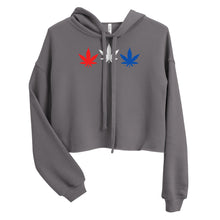 Load image into Gallery viewer, Patriotic Crop Hoodie